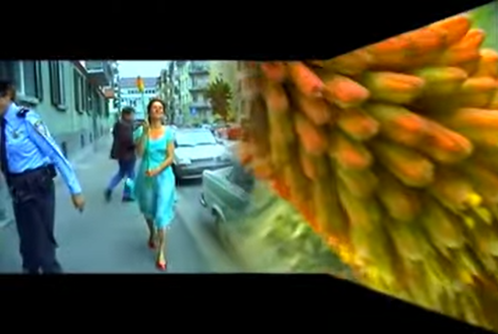 Capture%20d'%C3%A9cran%202025-03-24%20222615